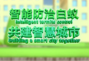 微视：智能防治白蚁 共建智慧城市