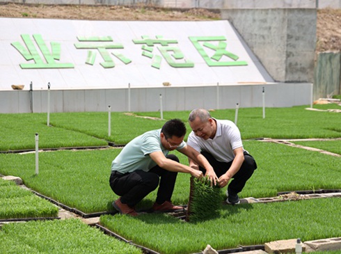 玉州区：科技赋能 抢抓晚稻育秧关键期  近年来，玉州区深耕科技强农战略，推动水稻育秧向集约化、规模化、标准化转型。育秧设施机械化水平持续提升，不仅减轻了农户的劳作强度，更让秧苗的生长速度、成活率与品质稳步提高，为全区今年高质量完成10万亩晚稻种植任务奠定了坚实科技根基……[详细]