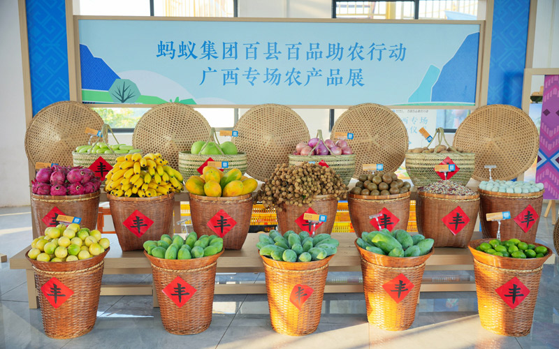 “百县百品助农行动”广西专场在田东县启动